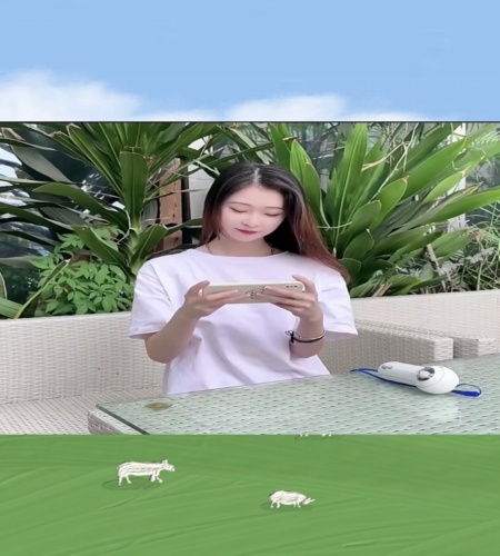 紹介動画