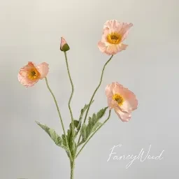 skuImage