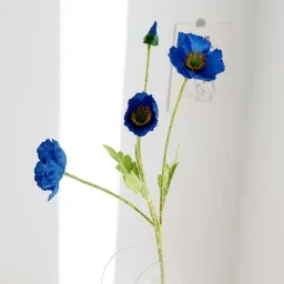 skuImage