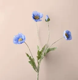 skuImage