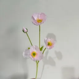 skuImage