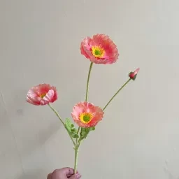 skuImage