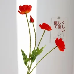 skuImage
