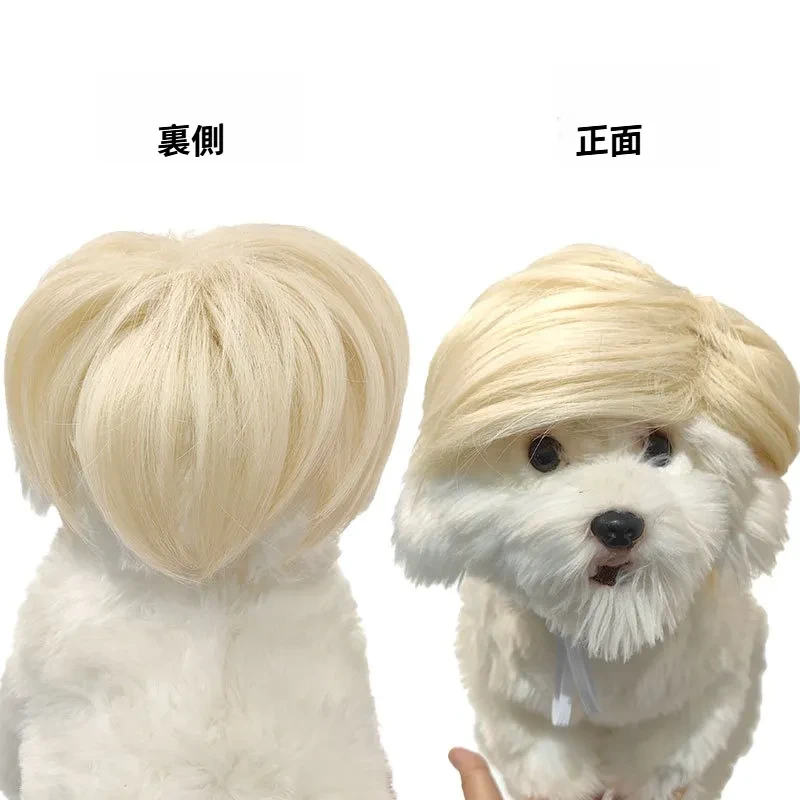 O1CN01CozV4s1uPKsEb1KJm_!!941666029-0-cib.jpg?x-oss-process=image/format,webp