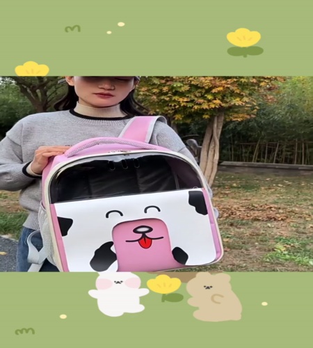 紹介動画