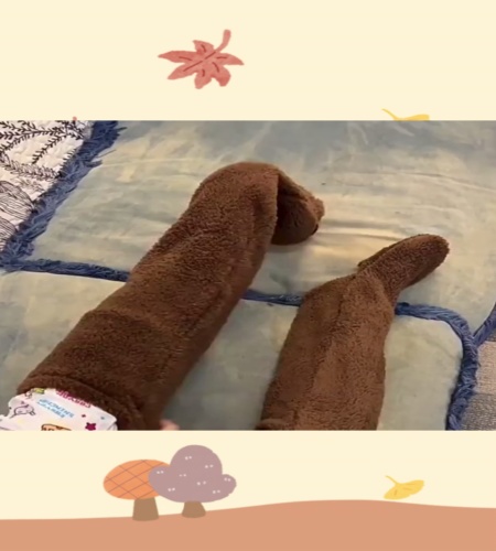 紹介動画
