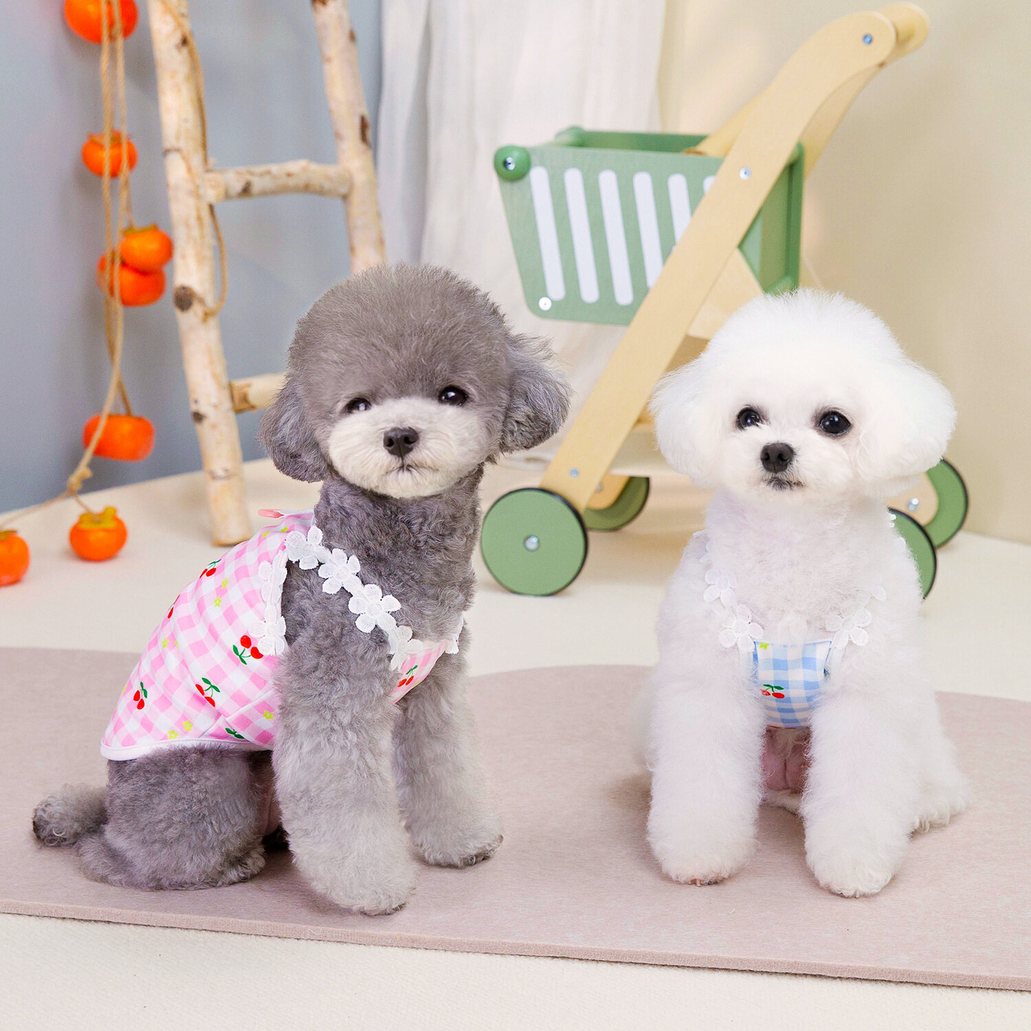 犬用服｜春夏新作・田園風・小清新・さくらんぼ・レース・キャミソール・テディ・ビション・小型犬用|undefined