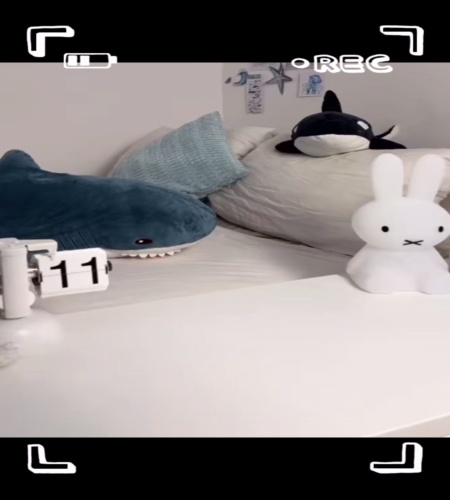 紹介動画
