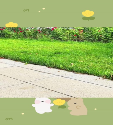 紹介動画
