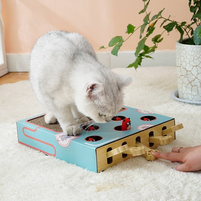 猫おもちゃ｜ネズミ捕り・段ボール・キャットタワー・自遊・インタラクティブ・ストレス解消・猫を楽しませる|undefined