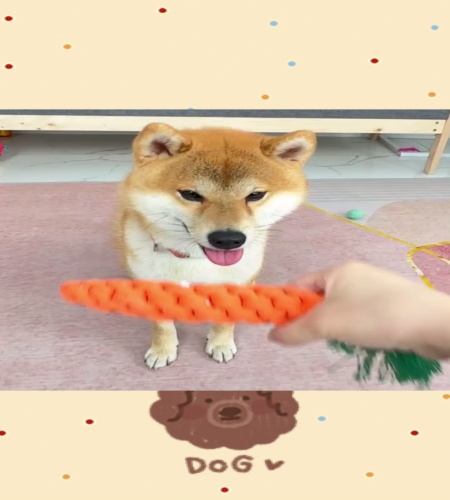紹介動画