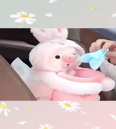 紹介動画