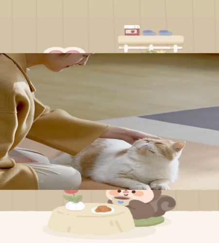 紹介動画