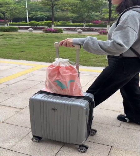 紹介動画