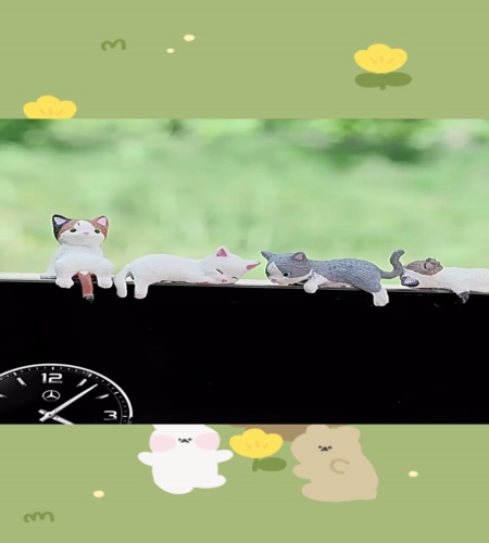 紹介動画
