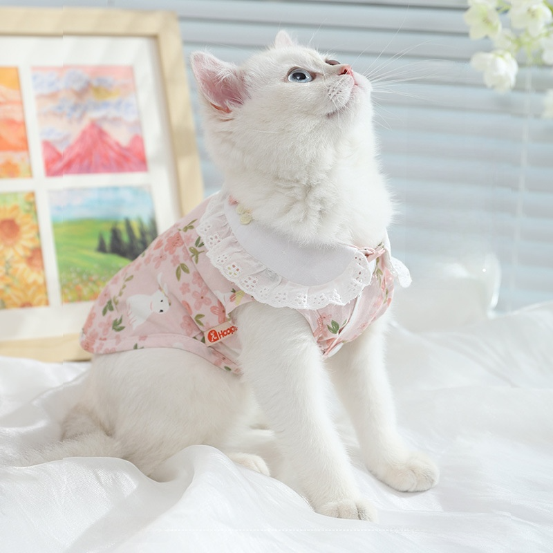 ペット服｜猫用服・毛が抜けにくい・薄手・春秋・子猫用・ペット用|undefined