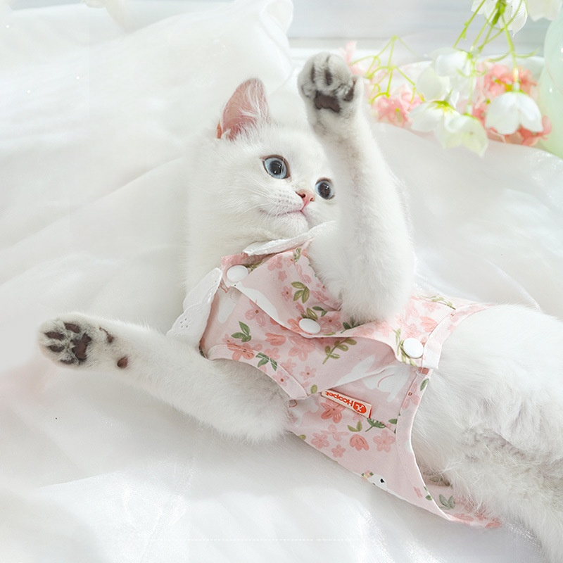 ペット服｜猫用服・毛が抜けにくい・薄手・春秋・子猫用・ペット用|undefined