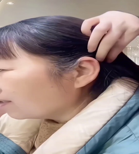 紹介動画