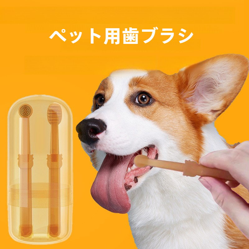 ミガケンデ 小型犬用 歯ブラシ 12本（ヤギ植毛：超やわらか）日本製 天然毛 ギフト 公式] 柔らかい天然毛歯ブラシ ミガケンデ 小型犬用 柔らかいヤギ植毛