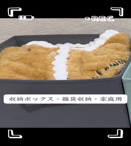 紹介動画