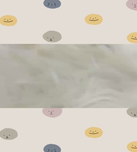 紹介動画