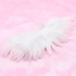 skuImage