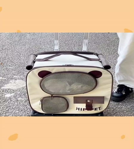 紹介動画