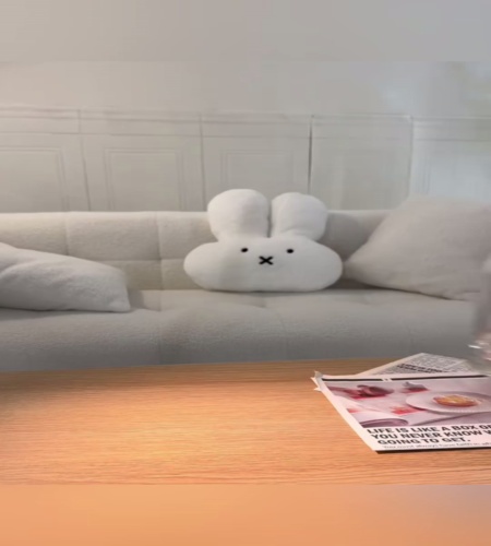 紹介動画