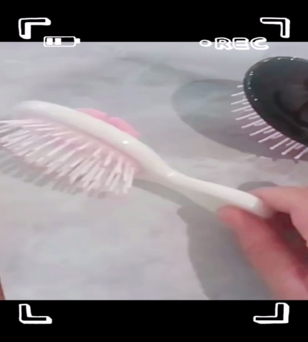 紹介動画