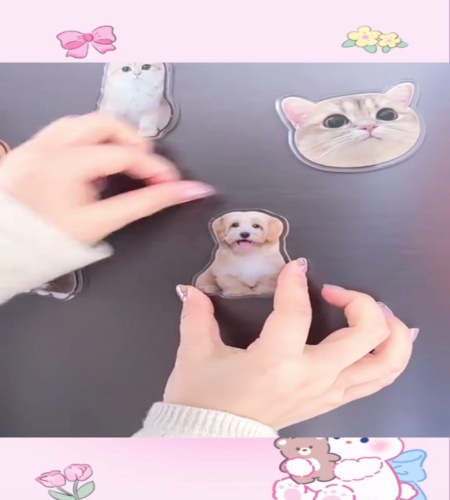 紹介動画