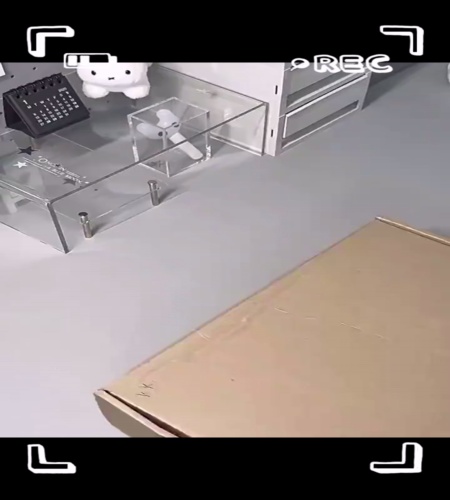 紹介動画