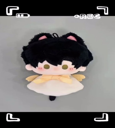 紹介動画