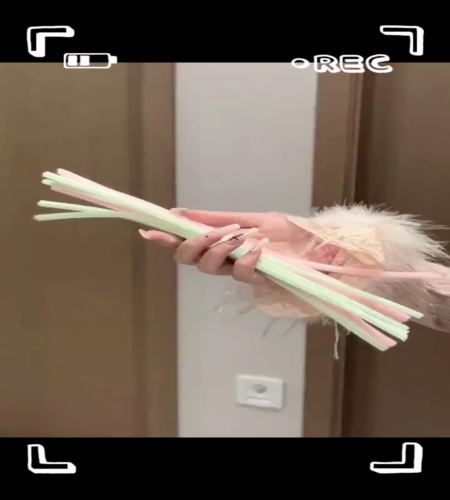 紹介動画