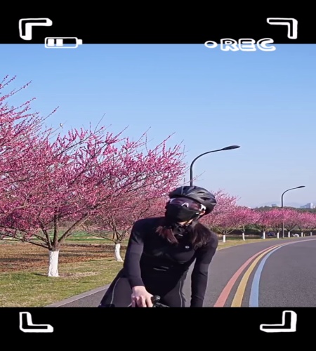 紹介動画