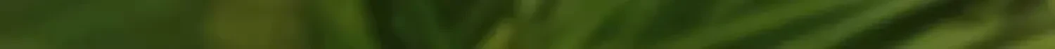 O1CN01n3NYkH1t86NYNbdp5_!!2208266245856-0-cib.jpg?x-oss-process=image/format,webp