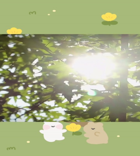 紹介動画