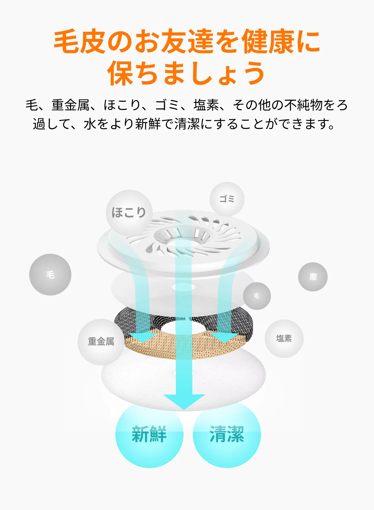 840996849287655424.webp