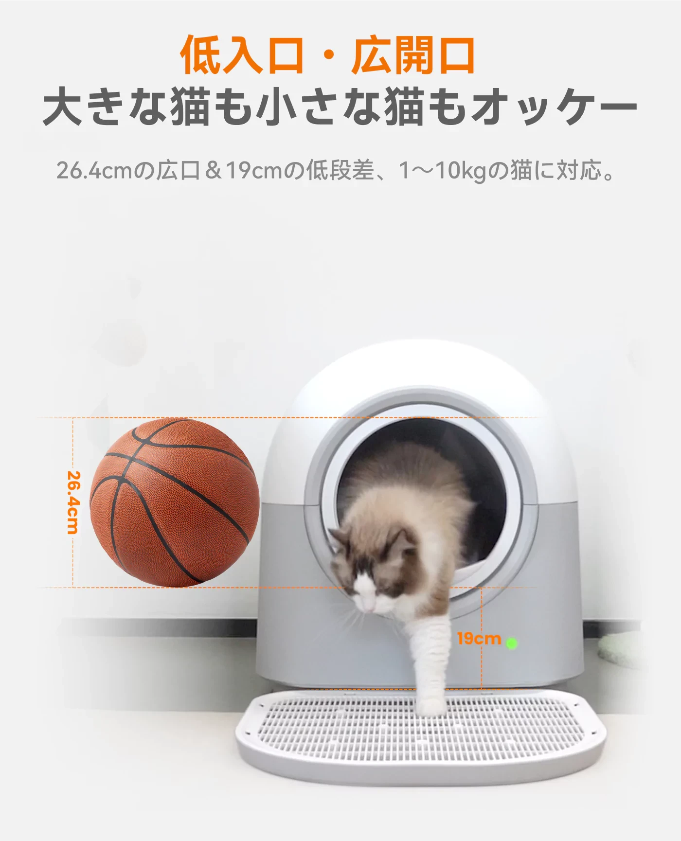 841001788990779392.webp
