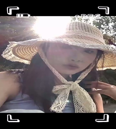 紹介動画