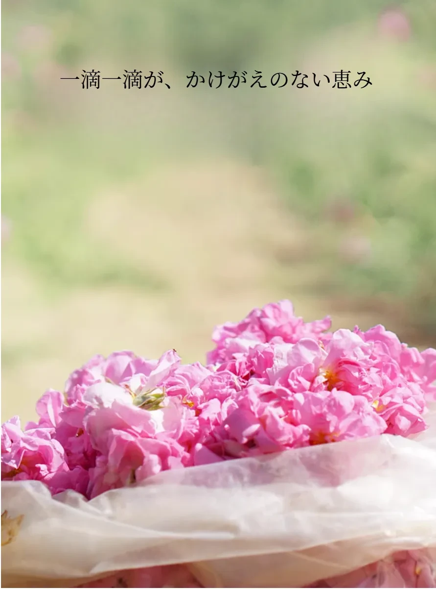 843170794187223040.png?x-oss-process=image/format,webp