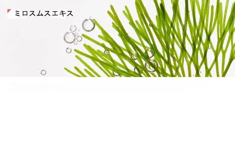 O1CN01z1v6jx1P2Cq3BvSio_!!2214835471782-0-cib.jpg?x-oss-process=image/format,webp