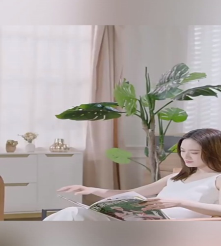 紹介動画