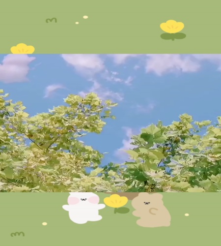紹介動画
