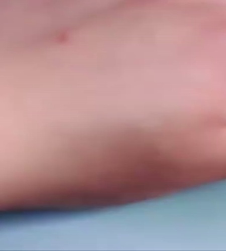 紹介動画
