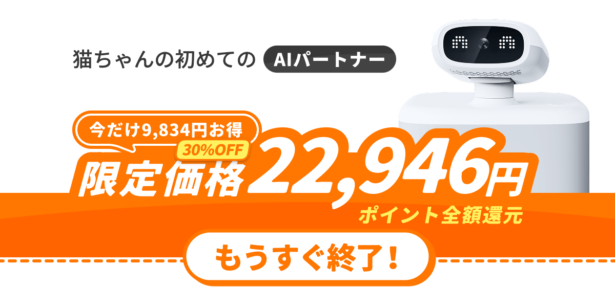 HHOLOVEOSitter猫用AIカメラ自動給餌器留守番中の猫を見守る！