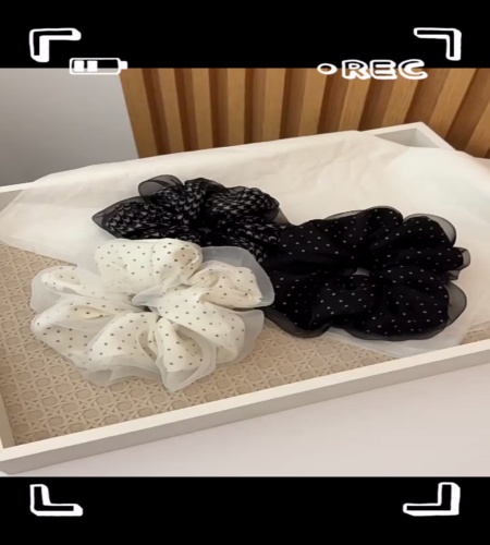 紹介動画