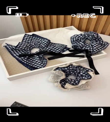 紹介動画