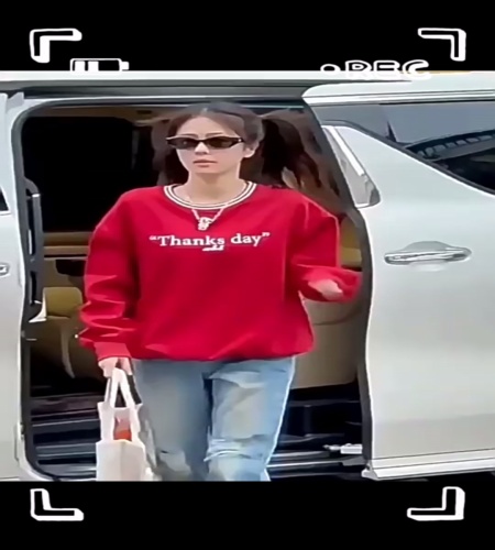 紹介動画