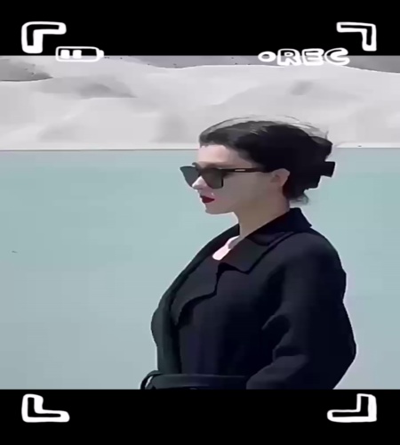 紹介動画