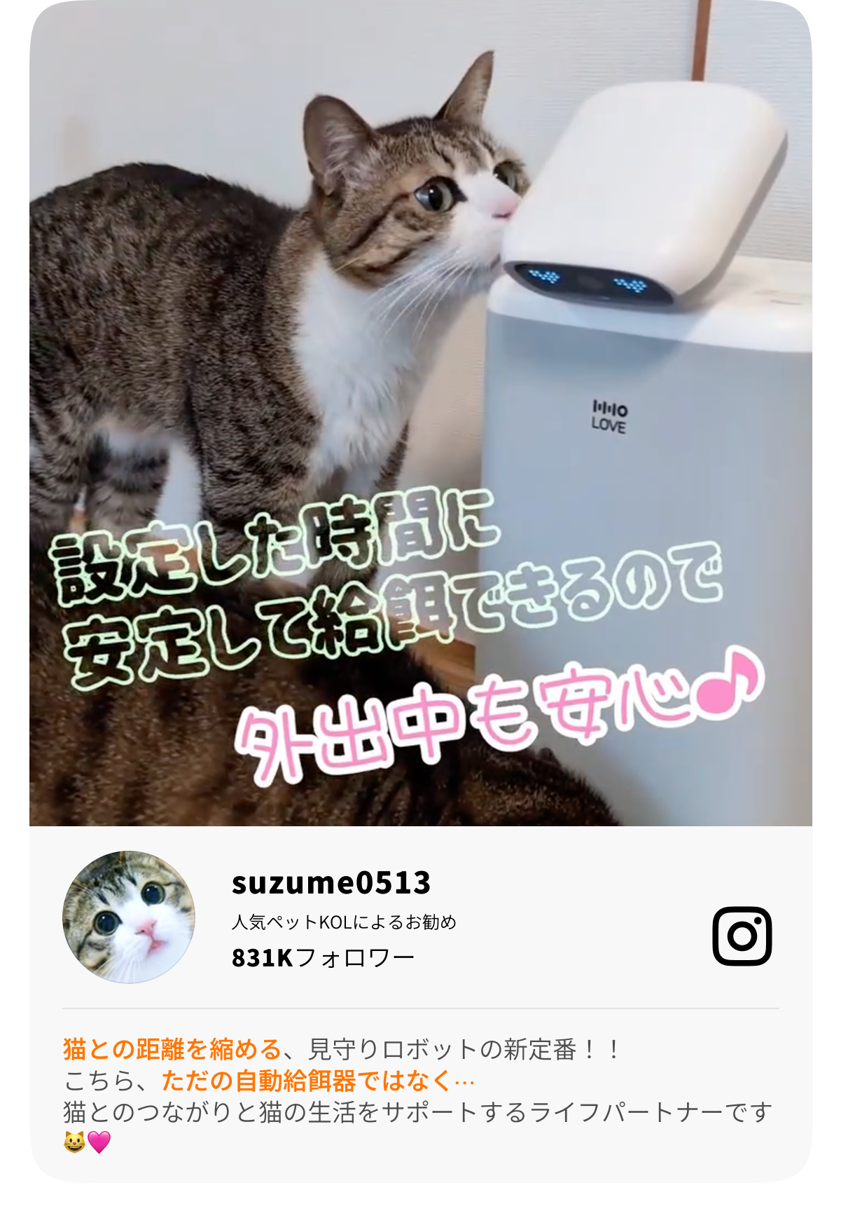 【留守でも安心】 猫ちゃんの餌やり、監視、遊び相手 一台３役 O Sitter 楽天市場】☆P10倍!HHOLOVE O Sitter 猫用スマート見守り